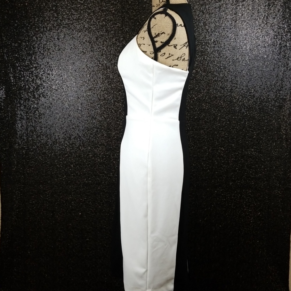 Alexia Admor Dress - Picture 4 of 4
